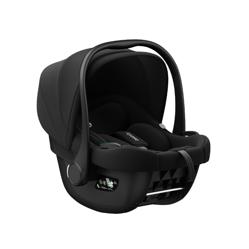 Ghế Ngồi Ô Tô Trẻ Em Reebaby B003 Lullaby